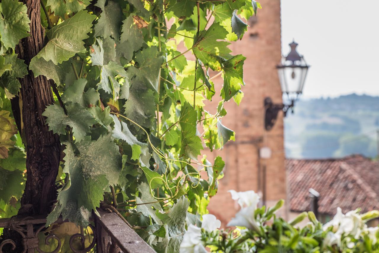 B&B Antico Tralcio Antignano  Exterior foto