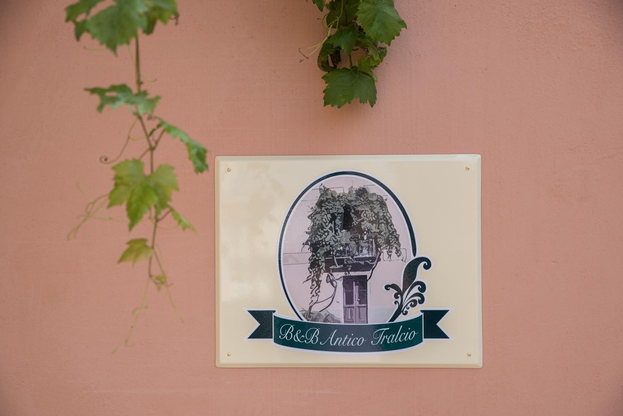 B&B Antico Tralcio Antignano  Exterior foto